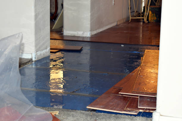 Professional Flood Cleanup technician working in Akron, NY