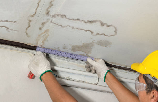 Reliable Flood Cleanup contractor in Akron, NY by Water Damage Irwin